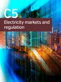 Congestion management in liberalized market environment