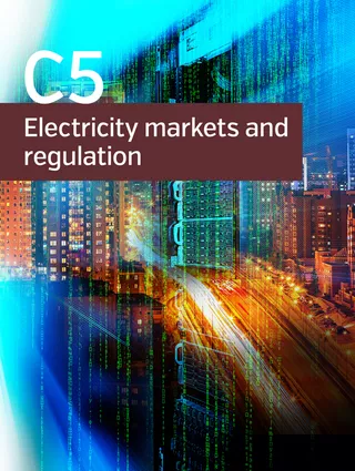 Congestion management in liberalized market environment