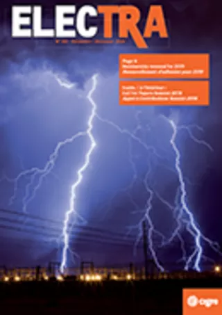 Management guidelines for outsourcing overhead transmission lines technical expertise